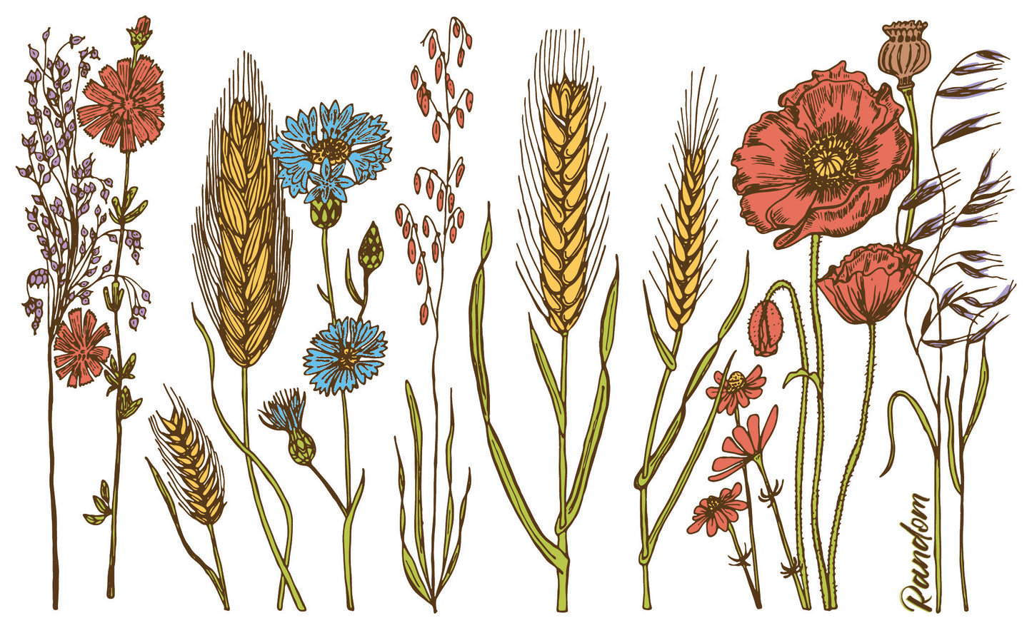 Wild Flower Spiral notebook